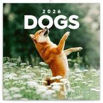 Realsystem Falinaptár, 2026 - Dogs