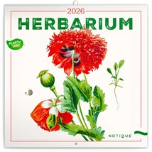 Realsystem Falinaptár, 2026 - Herbarium