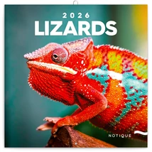 Realsystem Falinaptár, 2026 - Lizards