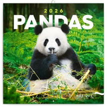 Realsystem Falinaptár, 2026 - Pandas