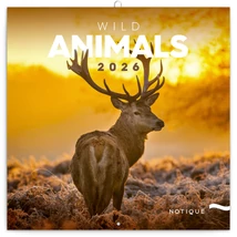 Realsystem Falinaptár, 2026 - Wild Animals