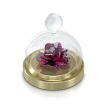 Swarovski Garden Tales:Bell Jar Rose S