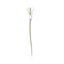 Swarovski Garden Tales: Calla Lily