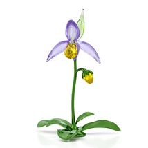 Swarovski Florere: Papucsorchidea