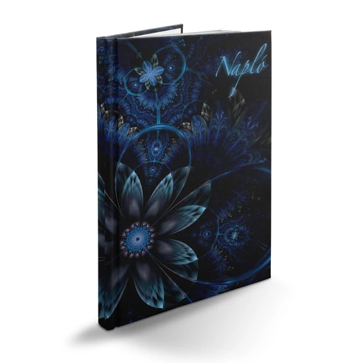 Realsystem Picture B/5 napló - Fraktál