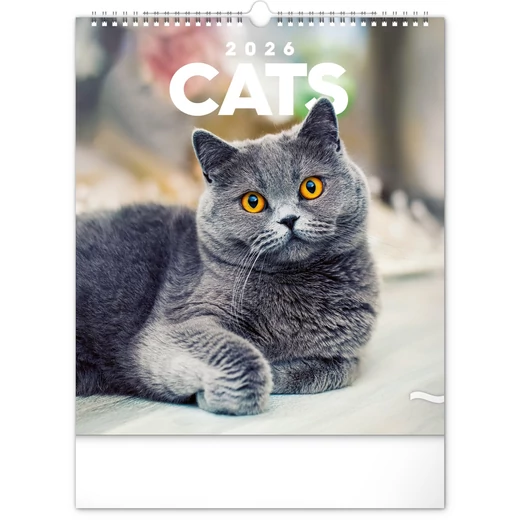 Realsystem Falinaptár, 2026 - Cats