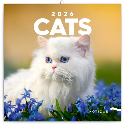 Realsystem Falinaptár, 2026 - Cats