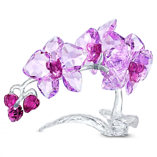 Swarovski Crystal Flowers: Orchid